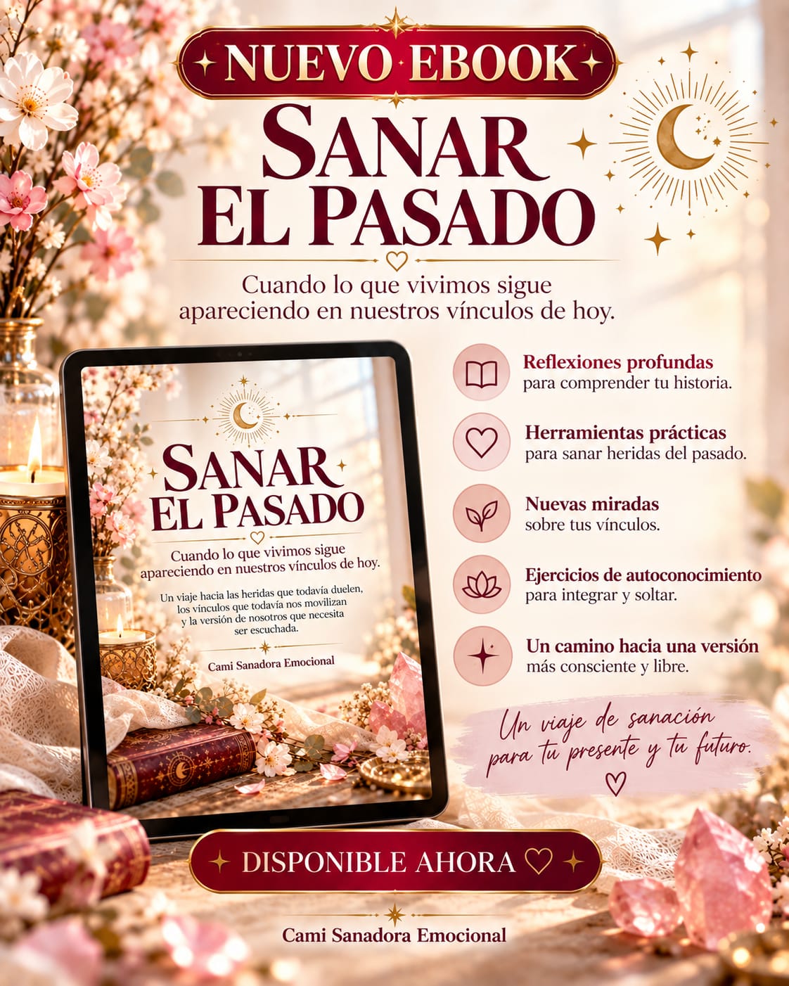 EBOOK SANAR EL PASADO